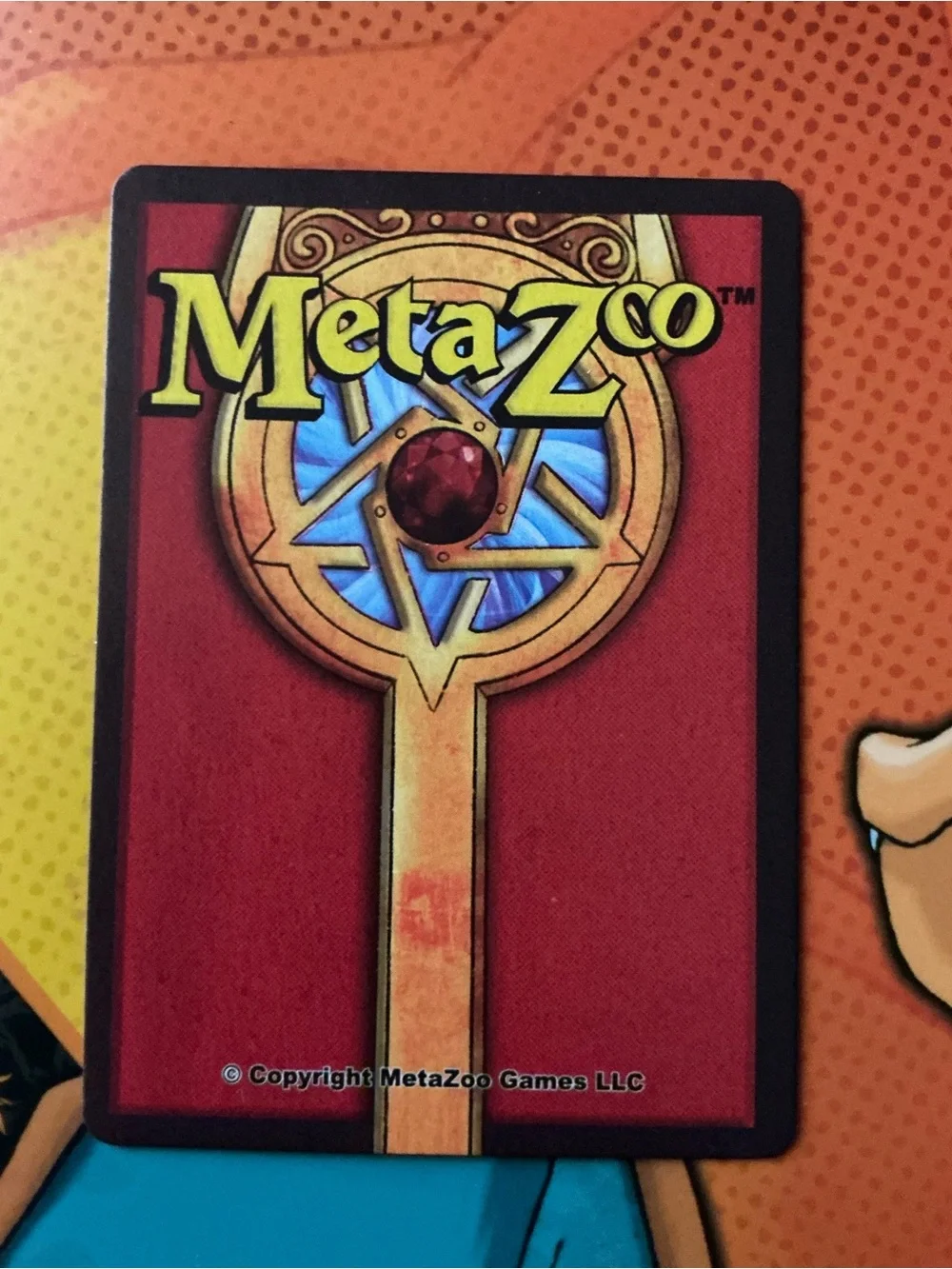 Meta Zoo 2021 this looked